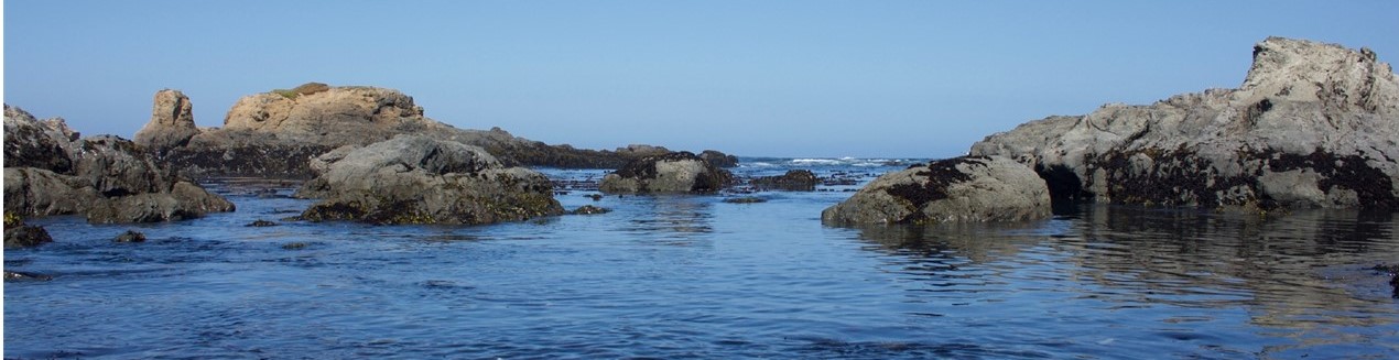 The ocean scene features a mix of rocks and water