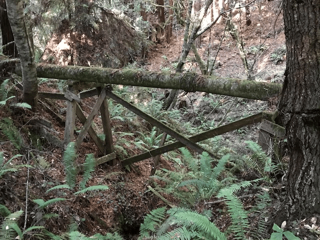 A charming wooden bridge