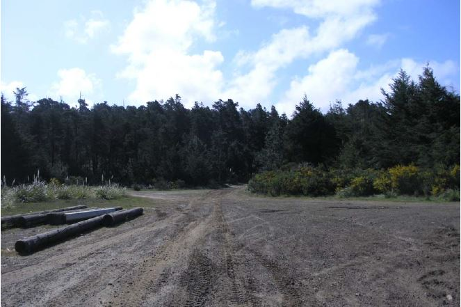 A dirt road lined with logs