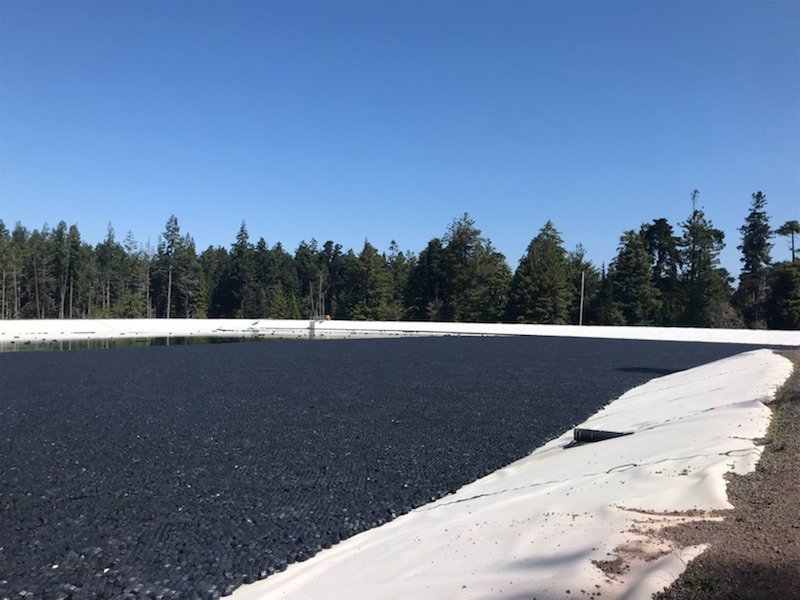 A large pond with dark water