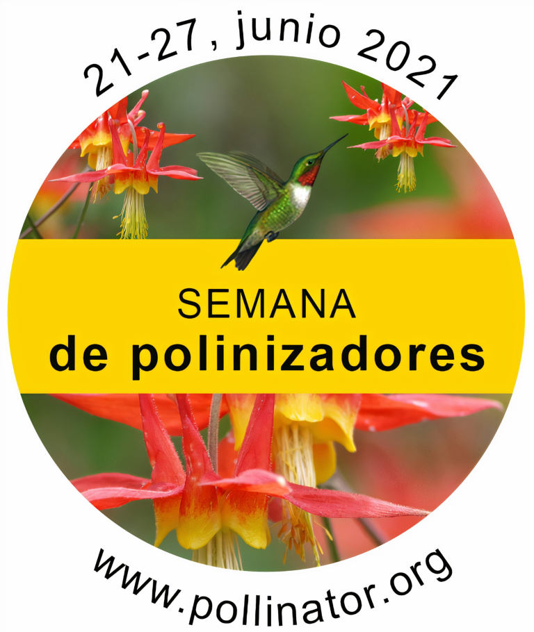 Polinizadores -1
